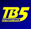 Логотип телеканала ТВ 5